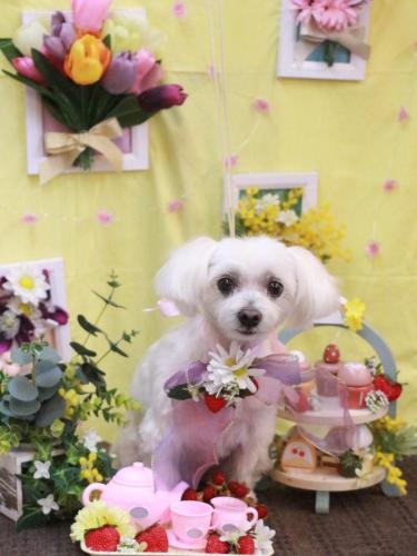 20230326ヒメちゃん